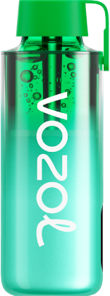 VOZOL NEON - (10000) Мята