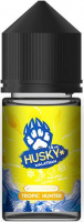 Ароматизатор HUSKY Malaysian - Tropic Hunter (ледяной микс ананаса манго и дыни)
