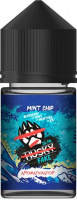 Ароматизатор HUSKY Fake - Mint Chip (черника мята ментол и лед)