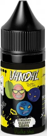 VANDAL - Черника Голубика Гуава 30 мл 20 мг (STRONG)
