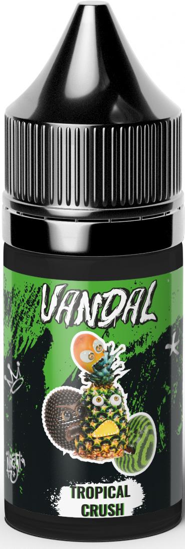 VANDAL PREMIUM - Bad Kind Evil  30 мл 20 мг (STRONG)